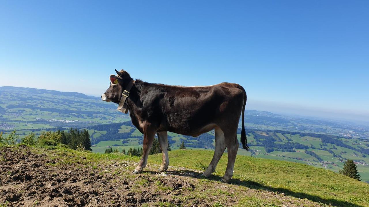 Allgaeu Bergluft Weitnau Экстерьер фото