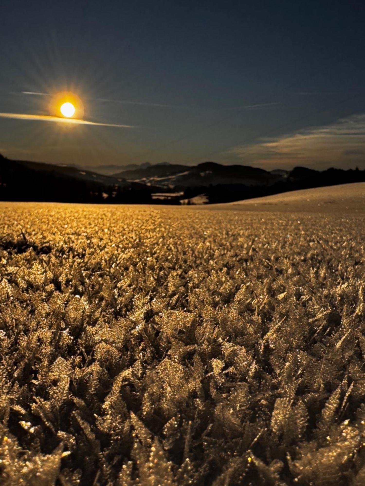 Allgaeu Bergluft Weitnau Экстерьер фото