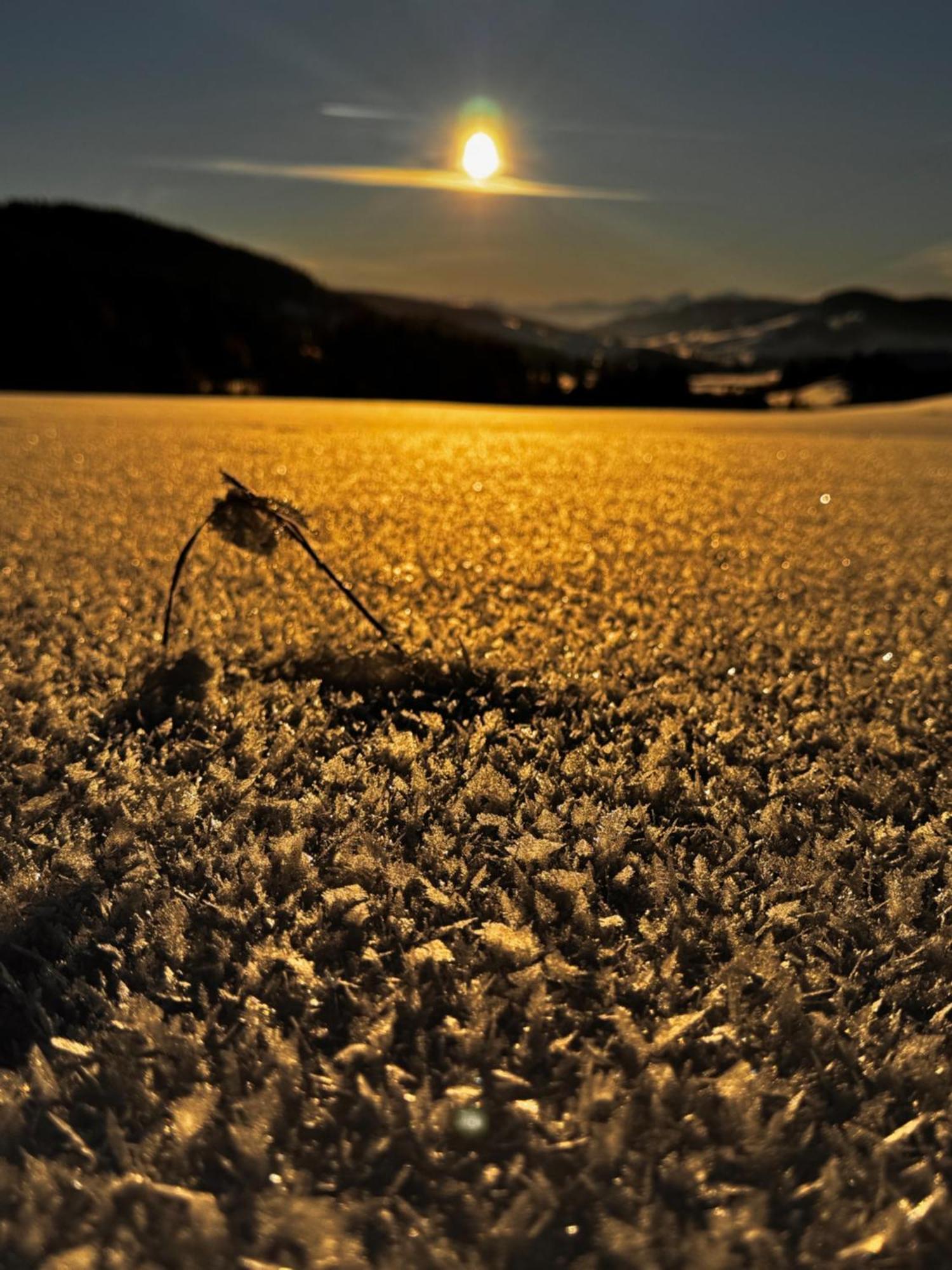 Allgaeu Bergluft Weitnau Экстерьер фото