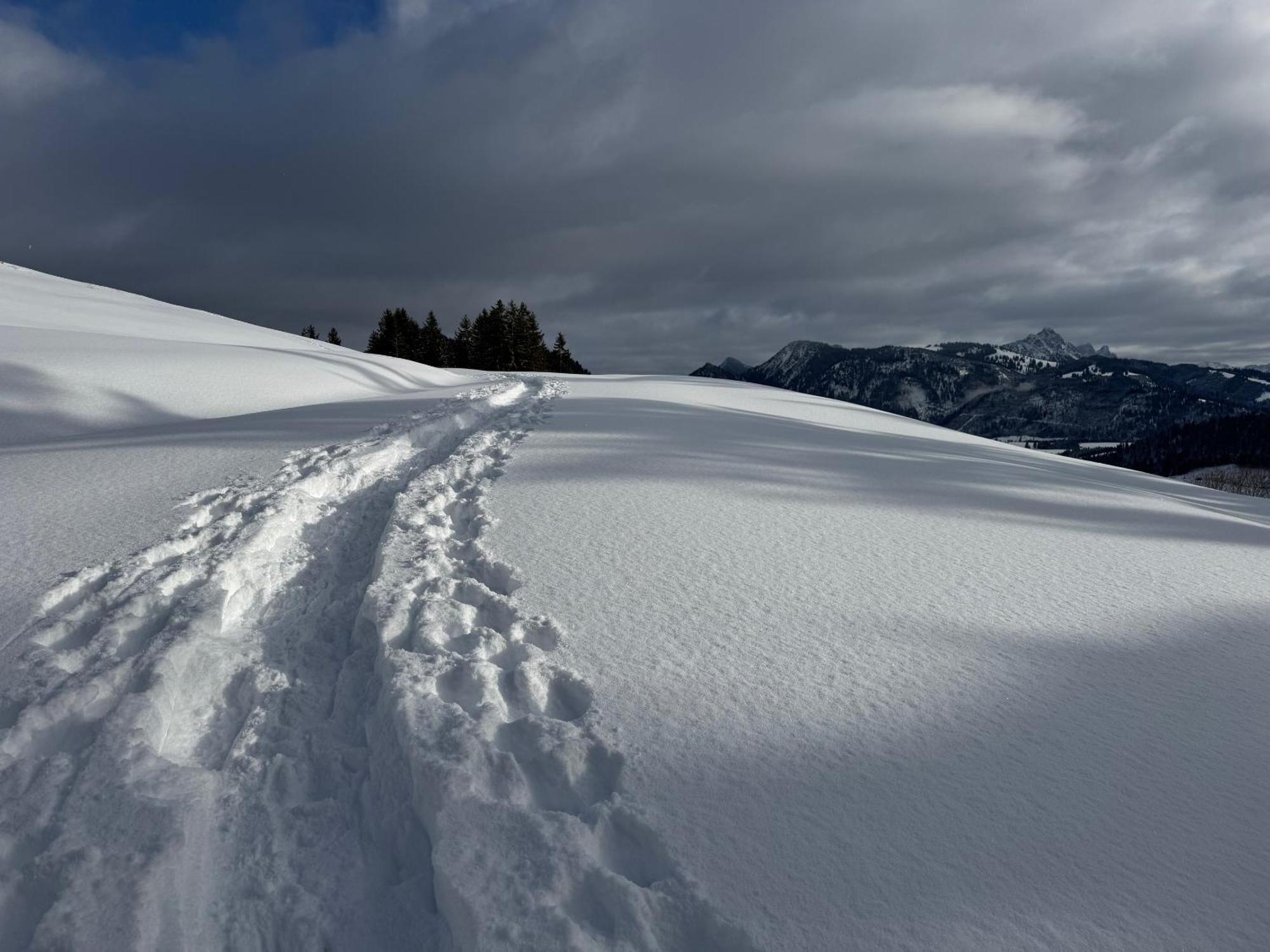 Allgaeu Bergluft Weitnau Экстерьер фото