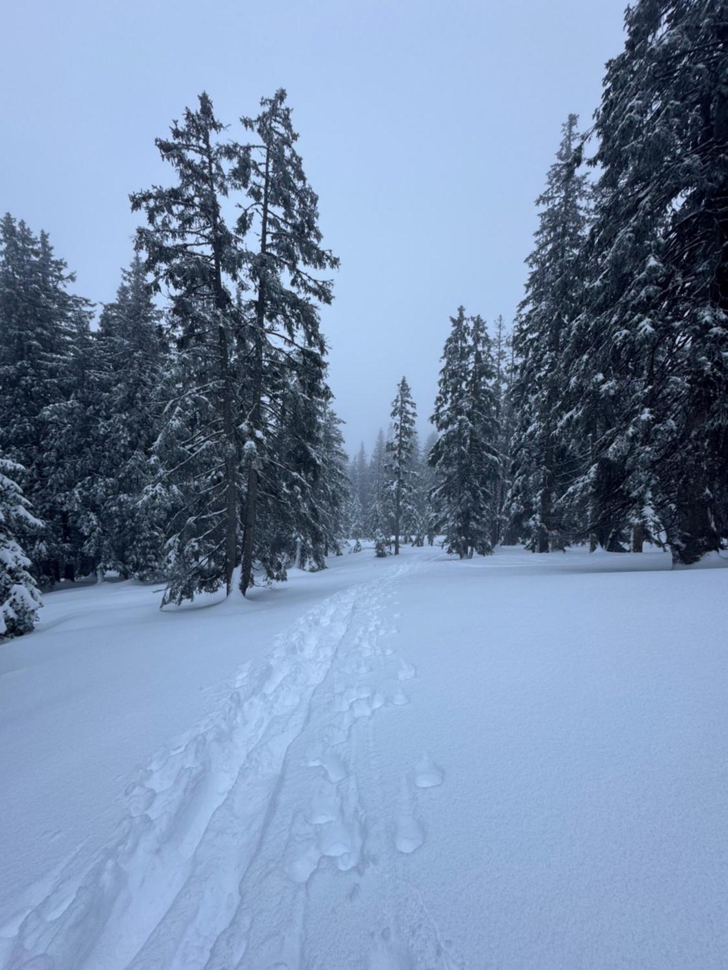 Allgaeu Bergluft Weitnau Экстерьер фото